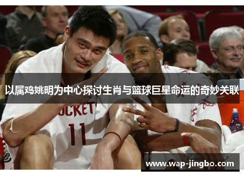 以属鸡姚明为中心探讨生肖与篮球巨星命运的奇妙关联