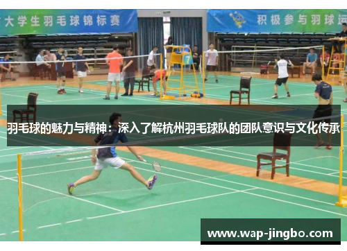 羽毛球的魅力与精神：深入了解杭州羽毛球队的团队意识与文化传承